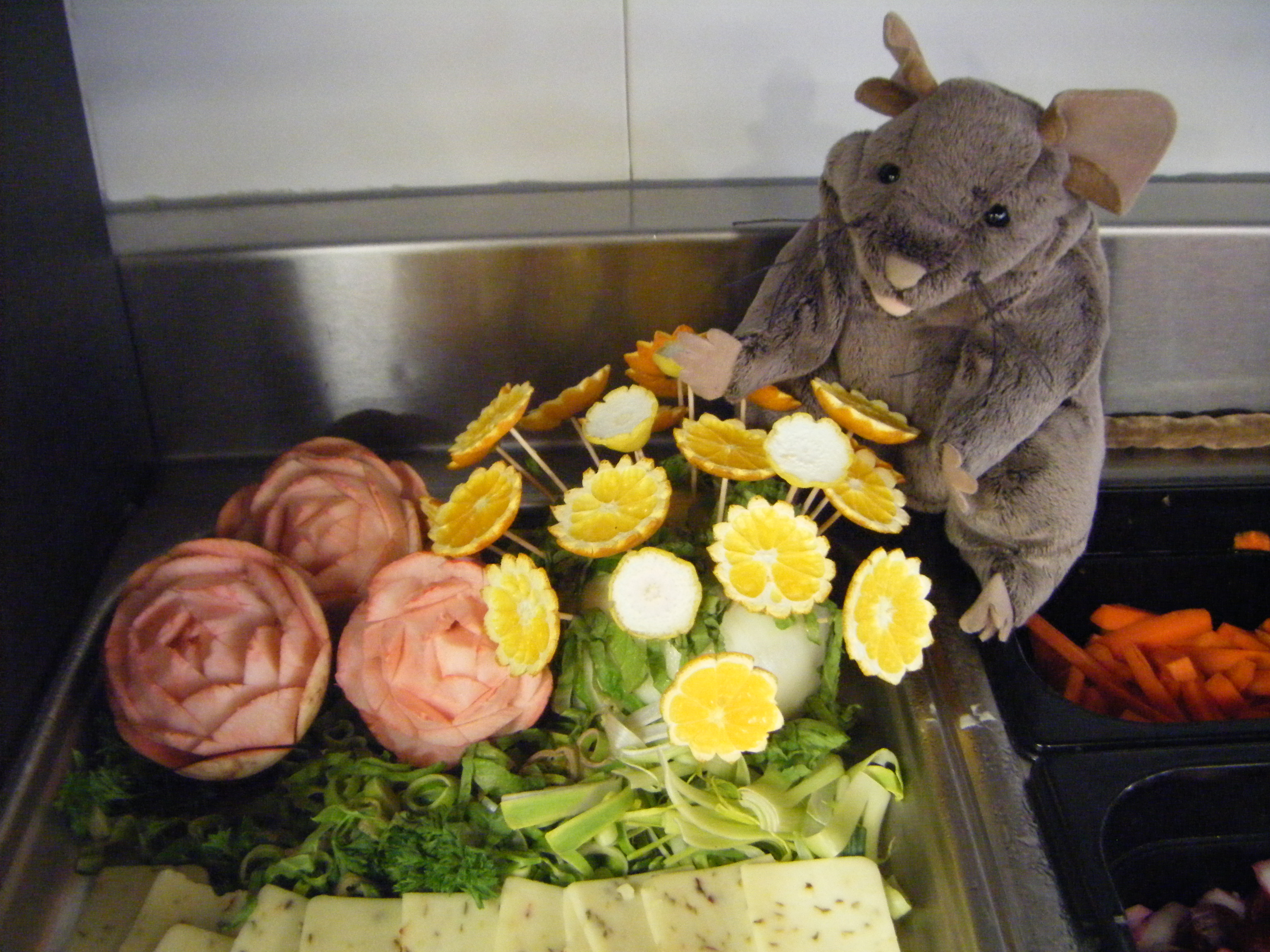 The secret garden JOIDES Resolution